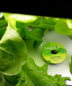 AeroGarden Heirloom Salad Greens Mix Seed Pod Kit - Salad Kit for AeroGarden Indoor Garden, 7-Pod 25 71vdkqDZxL