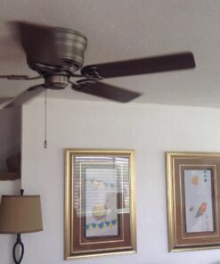 Hunter Fan Company Low Profile 52-inch Indoor Antique Pewter Traditional Ceiling Fan Without Light Kit, Includes Pull Chains, and Reversible WhisperWind Motor Antique Pewter finish 22 71veAevi2gL