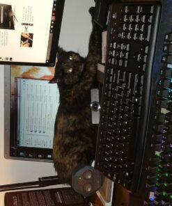 Logitech K120 Wired Keyboard for Windows, Plug and Play, Full-Size, Spill-Resistant, Curved Space Bar, Compatible with PC, Laptop - Black 32 71vedUaLQ2L