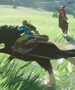 The Legend of Zelda: Breath of the Wild - US Version Nintendo Switch Standard 37 71vfmUeEBEL