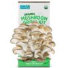 Back to the Roots Organic Oyster Mushroom Grow Kit, Harvest Gourmet Mushrooms In 10 Days 1 Count (Pack of 1) 2 71vgJRzwKL
