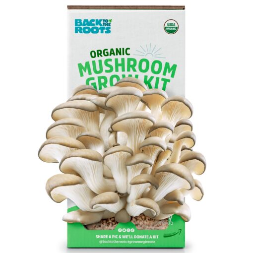 Back to the Roots Organic Oyster Mushroom Grow Kit, Harvest Gourmet Mushrooms In 10 Days 1 Count (Pack of 1)