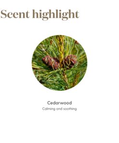Cedarwood Essential Oil 15ml by Young Living Essential Oils for Healthy Skin, Hair, and Scalp, Unlock the Power of Pure, Calming, and Soothing Cedarwood Oil 0.51 Fl Oz (Pack of 1) 12 71vhP5FhK5L