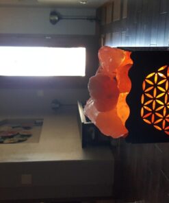 CRYSTAL DECOR Himalayan Pink Salt Lamp Basket & Dimmer Cord Bulb Flower 29 71vjDFzcirL