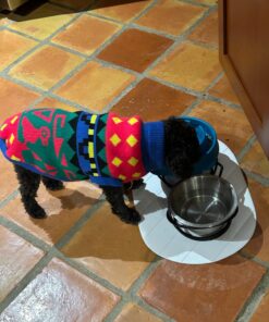 Outward Hound Fun Feeder Slo Bowl, Slow Feeder Dog Bowl, Medium/Mini, Turquoise 24 71vjYsVg2TL 1