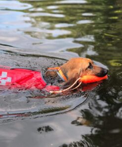 Petrainer Training Collar for Dogs - Waterproof Rechargeable Dog Training E-Collar with 3 Safe Correction Remote Training Modes, Static, Vibration, Beep for Dogs Small, Medium, Large 41 71vkn z13L