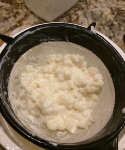Live Milk Kefir Grains - Live Probiotic Culture Mr. and Mrs. Kefir Instructions 29 71vm 5xVGtL