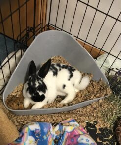 Small Pet Select Premium Small Animal Bedding, Natural Soft Paper Bedding for Small Indoor and Outdoor Pets, Made in USA, Jumbo Size 178 L Pack 48 71vnVK6MJQL