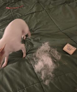 SleekEZ Original Deshedding Grooming Tool for Dogs, Cats & Horses - Undercoat Brush for Short & Long Hair - Painlessly Remove 95% of Loose Hair, Fur & Dirt - Easy to Clean - USA Made - (2.5 inch) 2.5 Inch (Pack of 1) 22 71vq44nXnPL 1