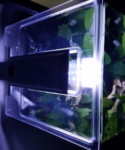 Fluval SPEC Freshwater Aquarium Kit, Aquarium with LED Lighting and 3-Stage Filtration, 2.6 Gallon, Black, Large Breeds 2.6 Gal. 57 71vssmyRm9L