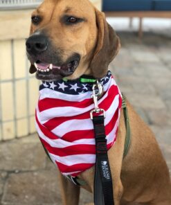 Leashboss Short Dog Leash for Dog Training | Padded Traffic Handle Short Leash for Dog Training, Total Comfort When Dog Walking | Traffic Leash for Dogs Large, Medium, Small | Short Nylon Dog Lead 12 Inch Black/Red/Grey 37 71vt3e 1jfL
