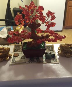 1 X Feng Shui Money Frog/Money Toad Attract Wealth 25 71vv0nqccNL