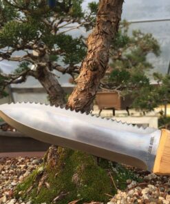 Bonsai Outlet Tinyroots Hori Hori Knife for Gardening, Multiple Purpose Garden Tools Used for Digging, Cutting and Weeding, Stainless Steel with Wooden Handle 9 71vwLOwcA1L