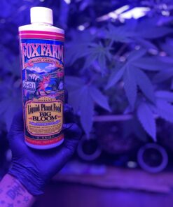 Fox Farm FX14091 Big Bloom Liquid Concentrate Fertilizer, 1 Pint, White 22 71vy wrbp6L