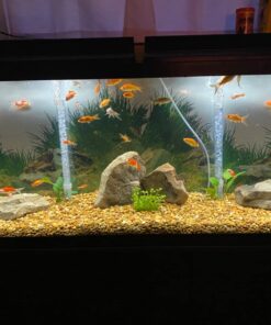 Penn-Plax Undergravel Aquarium Filter for 40-55 Gallon Tanks – Four 11.25” x 11.25” Plates – Under Gravel System for Clear, Clean Water – Safe for Freshwater and Saltwater Tanks 25 71vyTq2V3LL