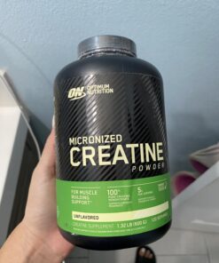 Optimum Nutrition Micronized Creatine Monohydrate Powder, Unflavored, Keto Friendly, 120 Servings (Packaging May Vary) 120 Servings (Pack of 1) 22 71w0Id6v7PL 1