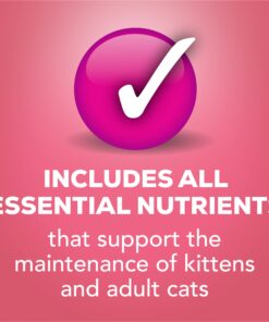 Purina Friskies Wet Cat Food Pate - 5.5 oz. Can Salmon Dinner 5.5 Ounce (Pack of 24) 27 71w1TTfELFL