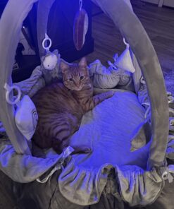 5-in-1 Thick & Plush Play Gym, Activity Gym & Play Mat, Cat Bed, Dog Bed, Convertible Stage-Based Developmental from Baby to Toddler, Ball Pit, Soft Plush Pet Bed, Pet Cushion, Balls are not Included Grey 26 71w2HUU2cqL