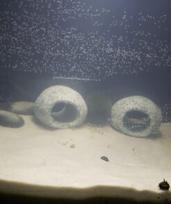 Carib Sea ACS05820 Super Natural Moonlight Sand for Aquarium, 5-Pound 5 lb 25 71w5ZfZNtcL