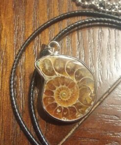 JOYA GIFT Charm Handmade Natural Conch Fossil Ammonite By Silver Wrapped Pendant Necklace (1 PCE). 56 71w6qNRWtKL