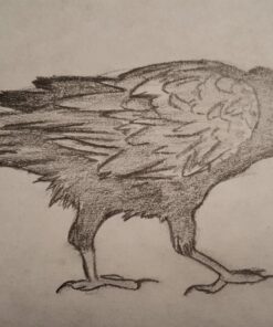 Faber-Castell 9000 Graphite Sketch Pencil Sets Art 8B - 2H set of 12 8 Colors 40 71w7yUsKzL