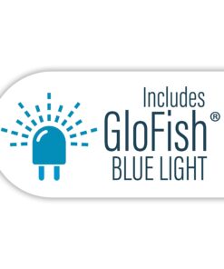 GloFish Aquarium Fish Tank Kits, Includes Fish Tank Decorations and LED Lighting, Tetra Filter and Water Conditioner 5-gallon crescent kit 26 71w89eYvmdL