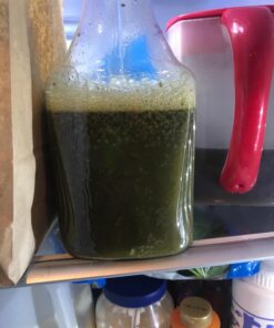 Kiva Organic Moringa Leaf Powder - Non-GMO and RAW - (1 Pound) 32 71w9e4bOX6L