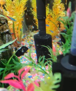 Zanyzap Pre-Filter Sponge 3 Pack for Fluval Edge Aquarium 30 71wB7eMOovL