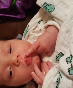 aden + anais Swaddle Blanket, Boutique Muslin Blankets for Girls & Boys, Baby Receiving Swaddles, Ideal Newborn & Infant Swaddling Set, Perfect Shower Gifts, 4 Pack, Jungle Jam 38 71wBYxy6iiL