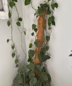 Command Outdoor Light Clips, Damage Free Hanging Light Clips with Adhesive Strips, Wall Clips for Hanging Outdoor Christmas Decorations, Lights and Cables, 20 Clear Clips and 24 Command Strips 20 Clips 45 71wBv6X0eoL