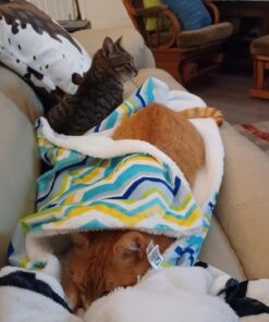 Hudson Baby Unisex Baby Plush Mink and Sherpa Blanket, Blue, One Size 16 71wDuPIM1SL