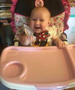 Disney Baby Minnie Mouse Simple Fold Plus High Chair with 3-Position Tray (Garden Delight) Garden Delight 38 71wE 1YL L