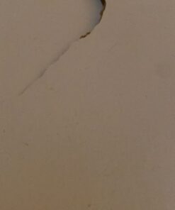 SKLZ Pro Mini Basketball Hoop Micro w/ Foam Ball 33 71wFC29w L