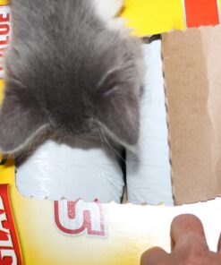 Glad Tall Kitchen Protection Series Drawstring Trash Bags -13 Gallon Grey Trash Bag - 90 Count 90 Count (Pack of 1) 54 71wKXHjg8uL