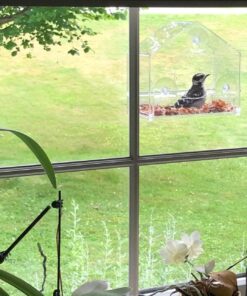 Nature Gear Window Bird Feeder - Refillable Sliding Tray - Weather Proof - Snow and Squirrel Resistant - Drains Rain Water - See Songbirds from Home! (House Style) (House Model) House 37 71wL V6IPLL