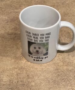 Battery Tender Plus 12V Battery Charger and Maintainer: 1.25 AMP Powersport Battery Charger and Maintainer for Motorcycles, ATVs, UTVs - Smart 12 Volt Automatic Float Charger - 021-0128 43 71wLmtihwDL