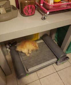 Alpha Paw - Odor Eliminating Pee Pads for Dogs, Extra Thick Disposable Leak-Proof Dog Pads, Quick-Dry, Non-Slip Backing, With Pheromones To Attract Your Dog Standard (22"x 23") 31 71wO0zsguKL