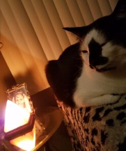 Indus Classic IC-L1017 LG-01 Salt Crystal Lamp, Pyramid Shape, Pink 19 71wOmFYa HL