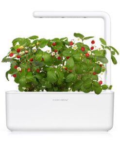 Click and Grow SGR24x3 Smart Garden Wild Strawberry Plant Pods, 3-Pack 22 71wQBWsj1NL