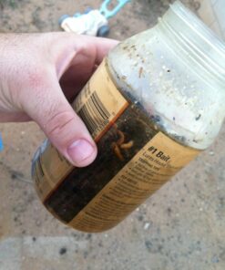 TERRO T380 Outdoor Reusable Fly Magnet Fly Trap - Poison Free Fly Killer and Trap with Bait 38 71wRORJrsiL 1