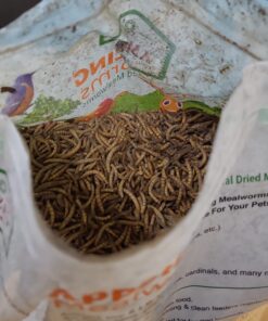 Amzey Appetizing Mealworms 5 LBS- 100% Non-GMO Dried Mealworms - Large Meal Worms - High Protein Treats- Perfect Mealworm for Chickens, Ducks, Turtles, Blue Birds, Lizards - Bag of Mealworms 5 LBS Seafood 14 71wS5MMYRL