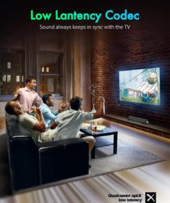 Aisidra Bluetooth Transmitter Receiver V5.0 Bluetooth Adapter for Audio, 2-in-1 Bluetooth AUX Adapter for TV/Car/PC/MP3 Player/Home Theater/Switch, Low Latency, Pairs 2 Devices Simultaneously Black 22 71wSUntWp2L