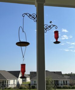 More Birds Red Jewel Hummingbird Feeder, Glass Hummingbird Feeders for Outdoors, 5 Feeding Stations, 20 Ounces Standard Packaging 33 71wSVSeM8gL