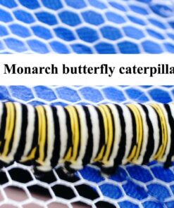 Celestron 44314 FlipView Handheld LCD Microscope (Grey) 36 71wU8Vj9FDL