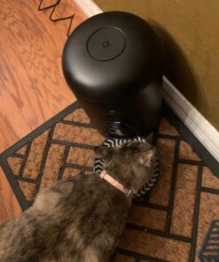 PETLIBRO Automatic Cat Feeder, Automatic Cat Food Dispenser Battery-Operated with 180-Day Battery Life, AIR Pet Feeder for Cat & Dog, Timed Cat Feeder Program 1-6 Meals Control, 2L Auto Cat Feeder Black Basic 30 71wUyguJ33L