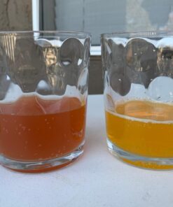 CELSIUS Sparkling Orange, Functional Essential Energy Drink 12 Fl Oz (Pack of 12) 12 Fl Oz (Pack of 12) 31 71wWzRyiB6L