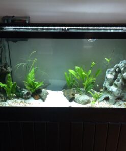 Penn-Plax Cascade All-in-One Aquarium Canister Filter – for Tanks Up to 100 Gallons (265 GPH) – Cascade 1000 Cascade-1000 71 71wX8yVSq4L