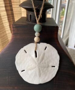 Tumbler Home White Sand Dollars 3"-3.5" - 10pcs - Wedding Seashell Craft Sandollars- Hand Picked and Professionally Packed 50 71wYJDyrxL