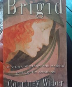 Brigid: History, Mystery, and Magick of the Celtic Goddess 3 71wYxEfWHL