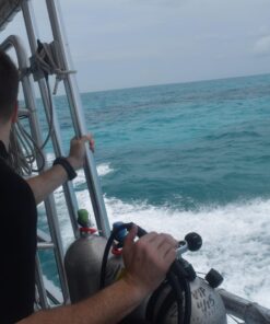 ZONMAN DSLR Camera Univeral Waterproof Underwater Housing Case Pouch Bag for Canon Nikon Sony Pentax Brand Digital SLR Cameras Transparent 36 71waE7Kt1FL